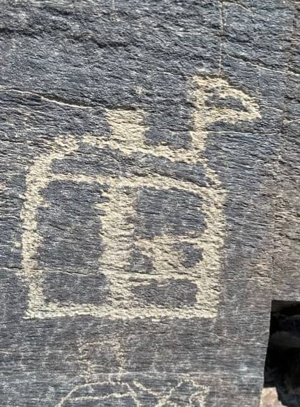 Миниатюра Бийронсай