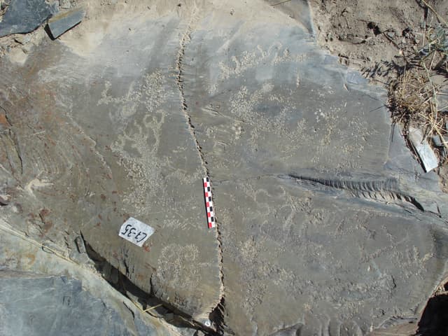 Миниатюра Петроглифы Сауыскандык (Сауыскандыксай)