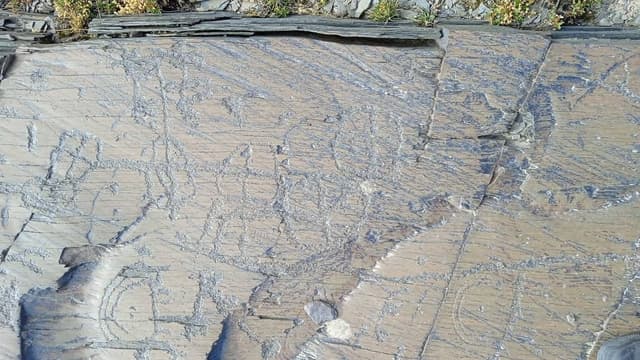 Миниатюра Пастбище Текеташ