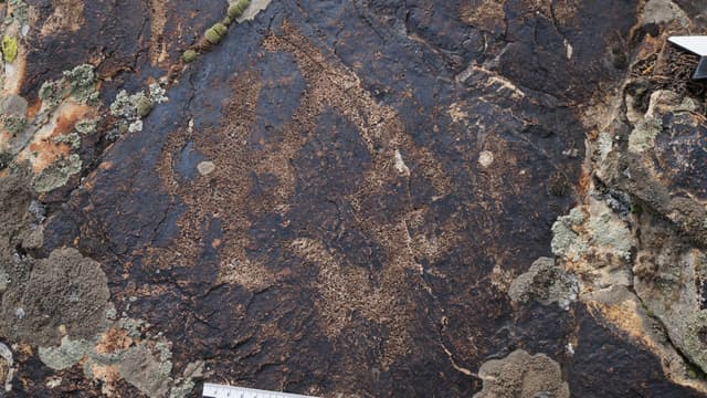 Миниатюра Тарансай (петроглифы Чаткальского хребта)