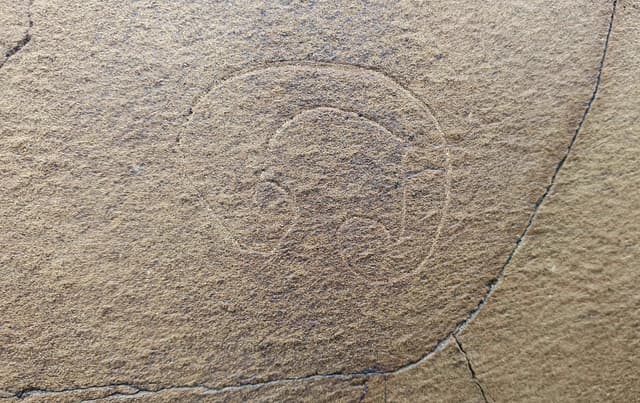 Миниатюра Бакайыр